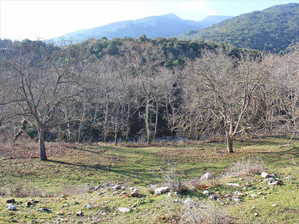 Land in Litochoro, Kentriki Makedonia 11511412