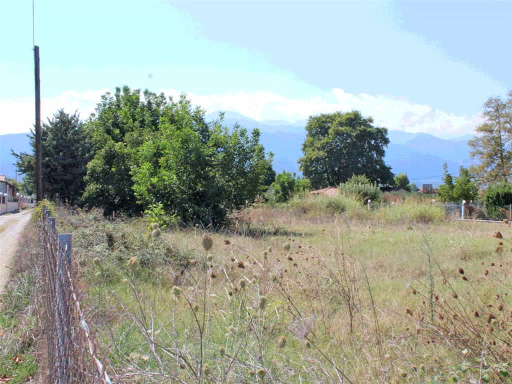 Tanah dalam Leptokarya, Kentriki Makedonia 11511534