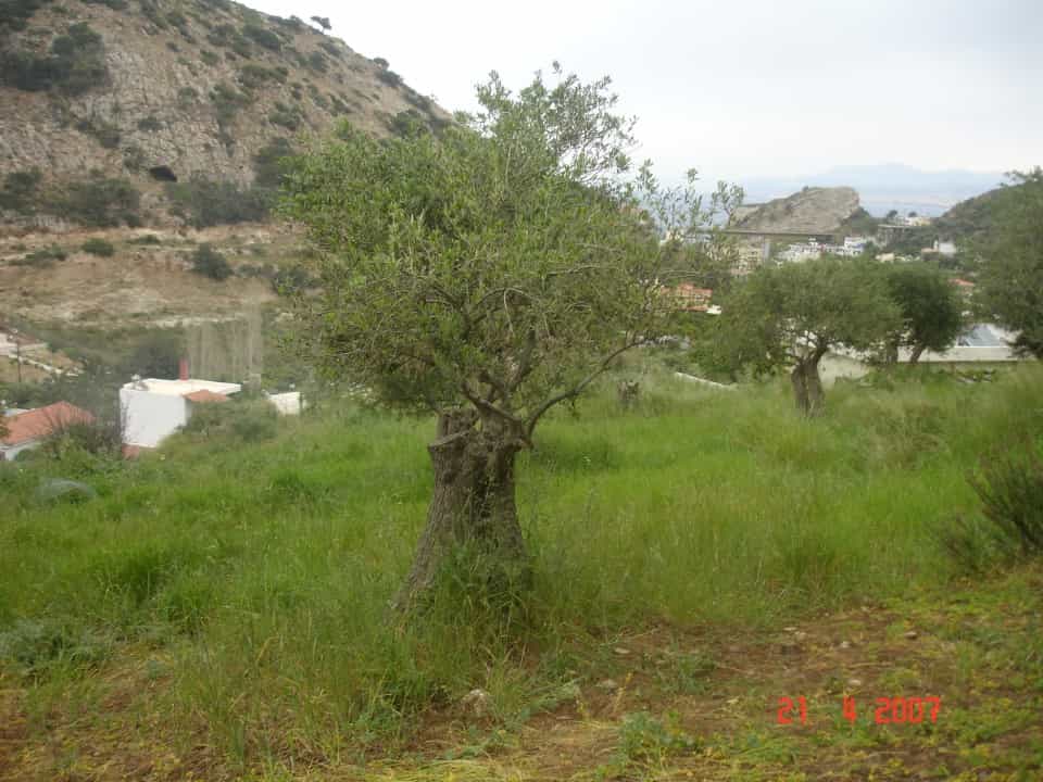 Land in Marathos, Kriti 11511573