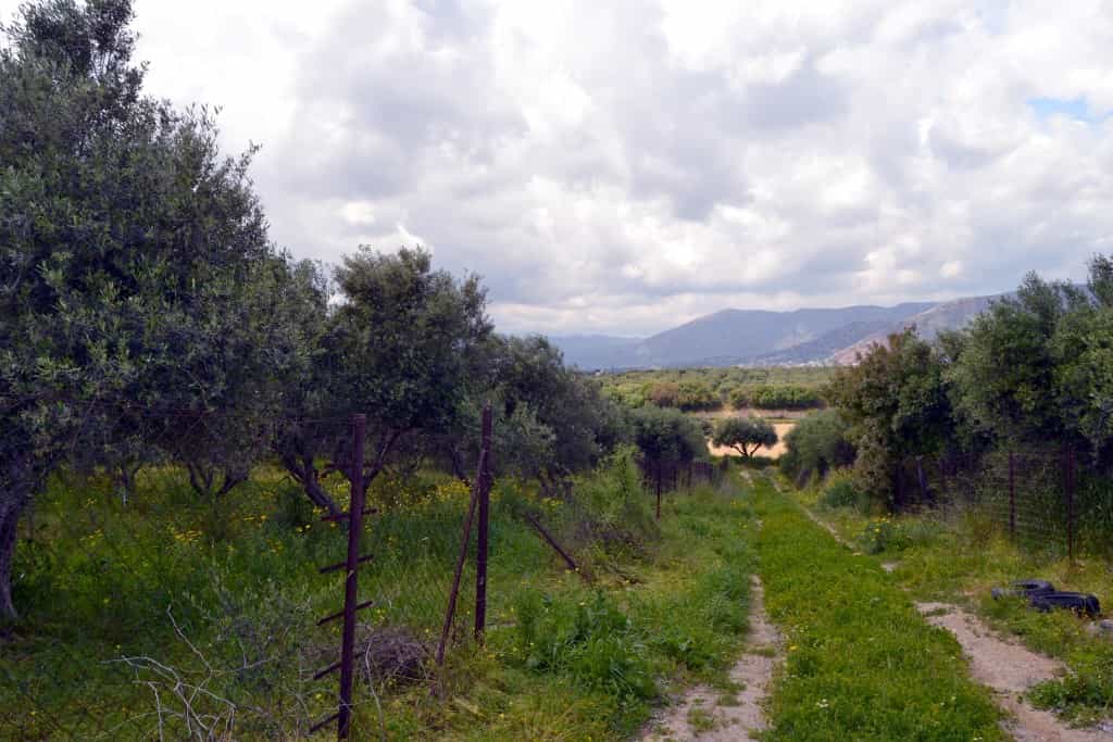 Land i Agioi Theodoroi, Kriti 11511715