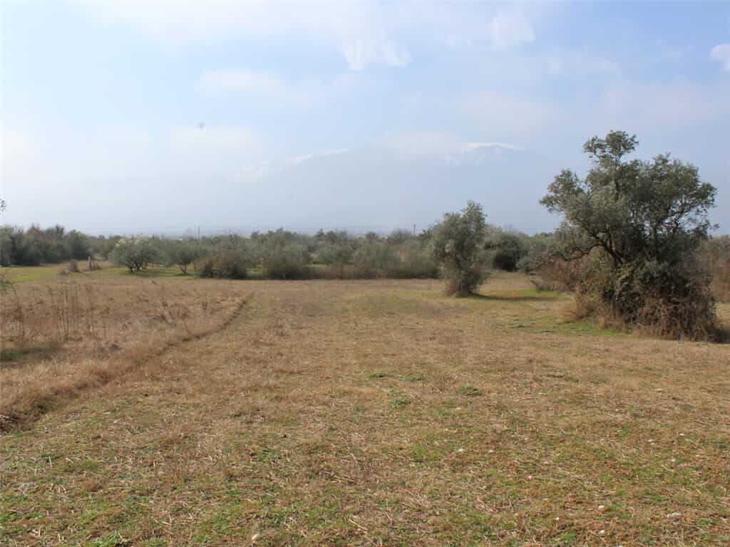 Tanah dalam Leptokarya, Kentriki Makedonia 11511781