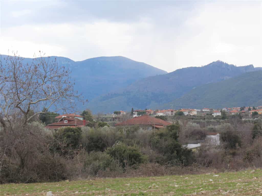Tanah dalam Leptokarya, Kentriki Makedonia 11511807