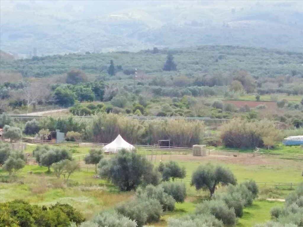 Земельные участки в Платани, Крити 11511908