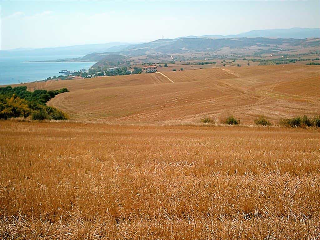 Terre dans Ammouliani, Kentriki Macédoine 11511946