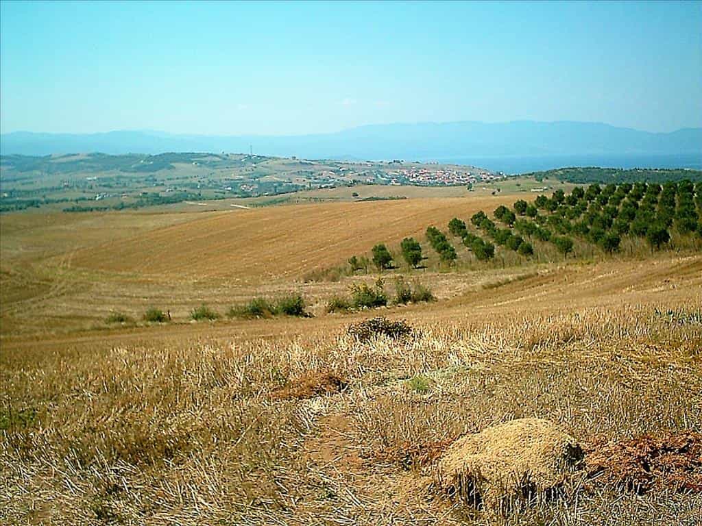 Terre dans Ammouliani, Kentriki Macédoine 11511946