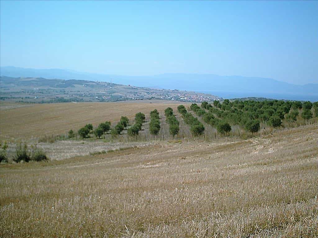 Tanah dalam Ammouliani, Kentriki Makedonia 11511946