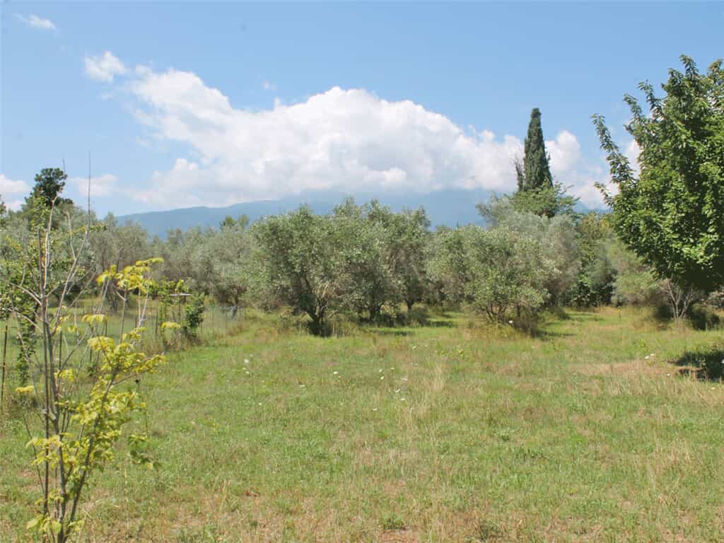 Land in Leptokarya, Kentriki Makedonia 11512005