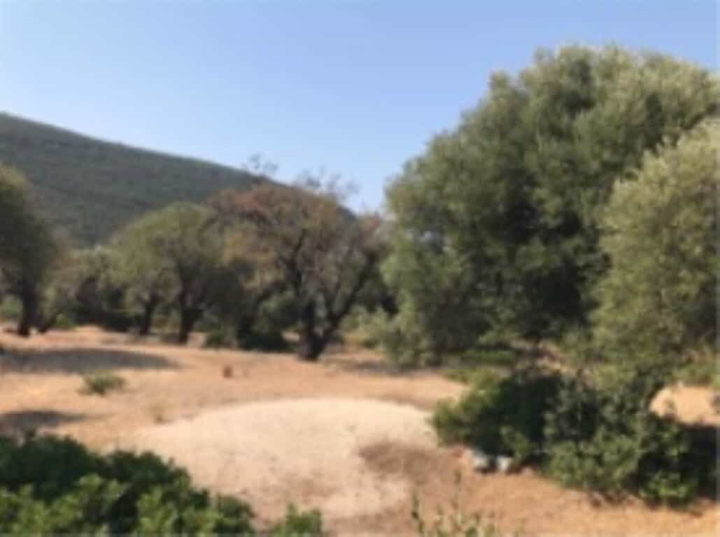 Tanah di Athani, Ionia Nisia 11512036