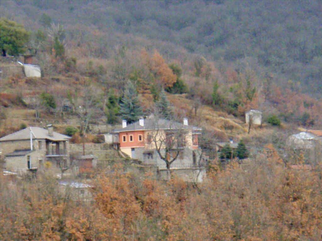House in Kastanonas, Ipeiros 11512049