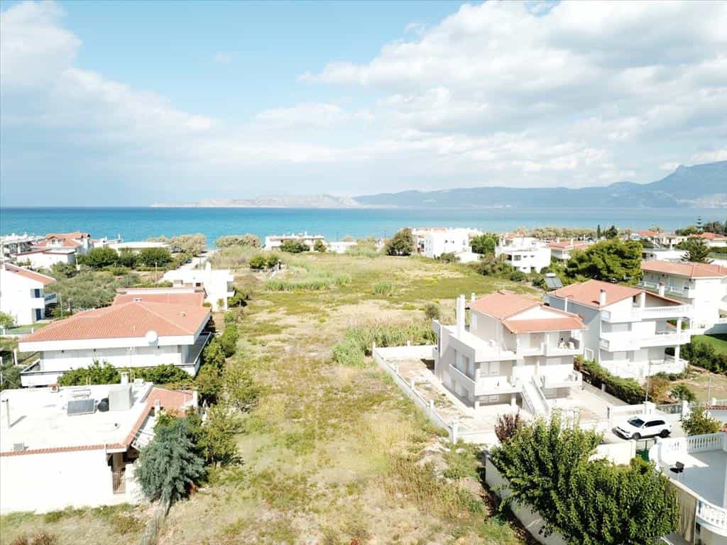 Tanah dalam Agios Gerasimos, Peloponnisos 11512110