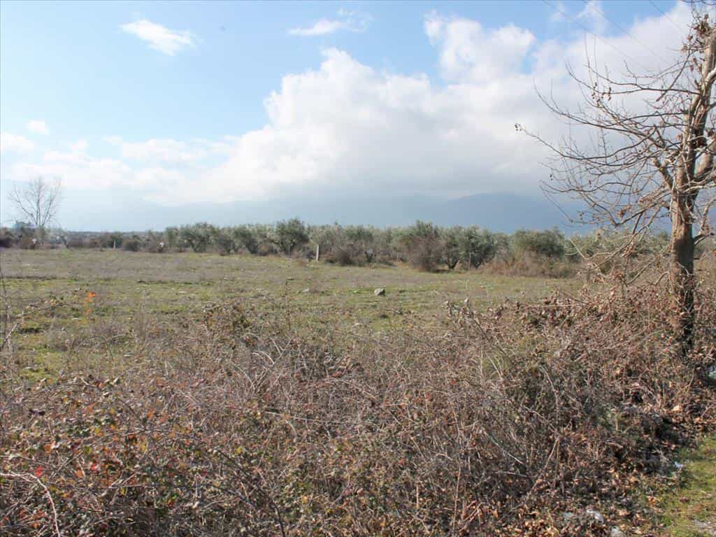 Tanah dalam Litochoro, Kentriki Makedonia 11512157