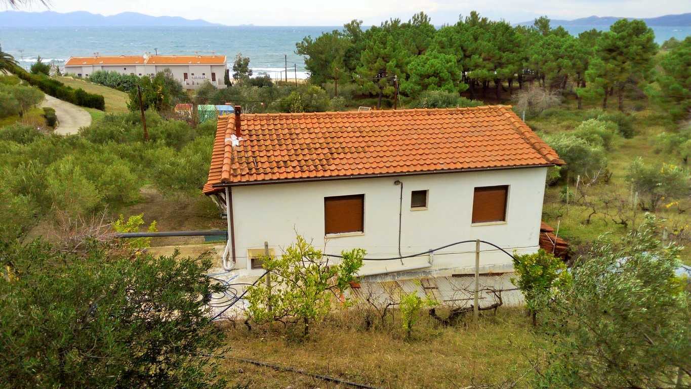 casa en Ammoulianí, Kentriki Macedonia 11512218
