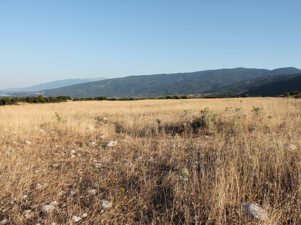 Terra no Litócoro, Kentriki Makedonia 11512321