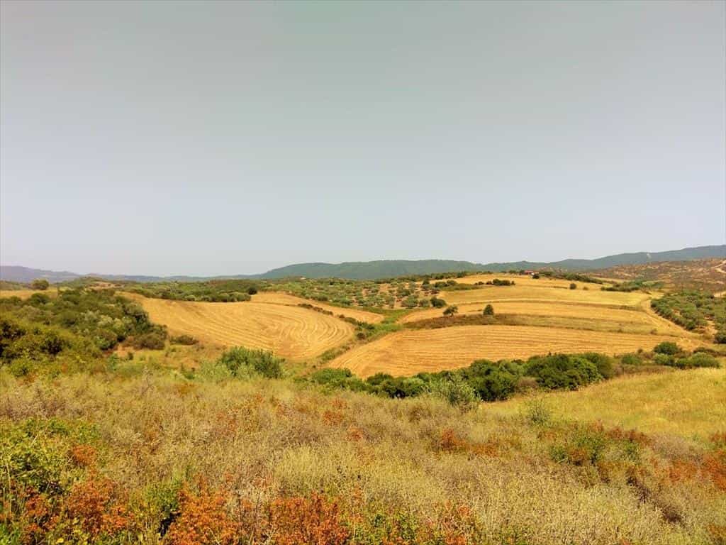 Land im Amouliani, Kentriki Makedonia 11512326