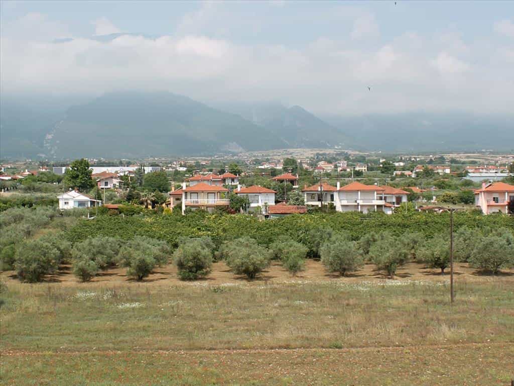 Tanah di Leptokarya, Kentriki Makedonia 11512365