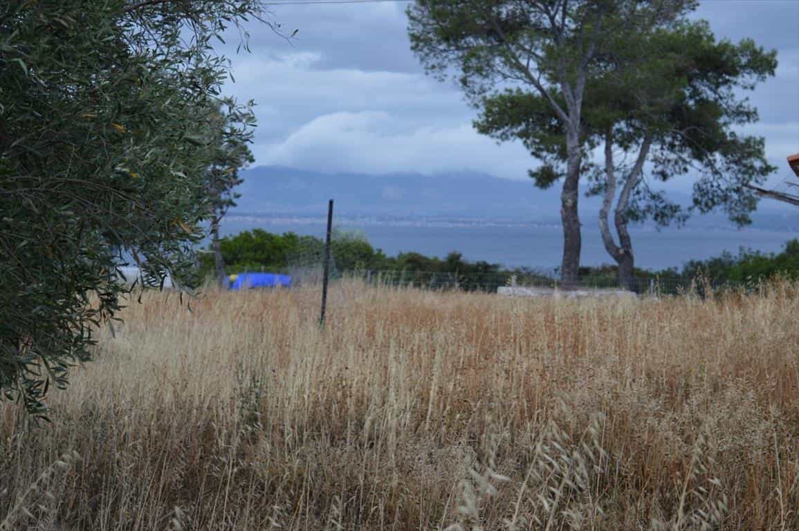 Land in Perachora, Peloponnisos 11512397