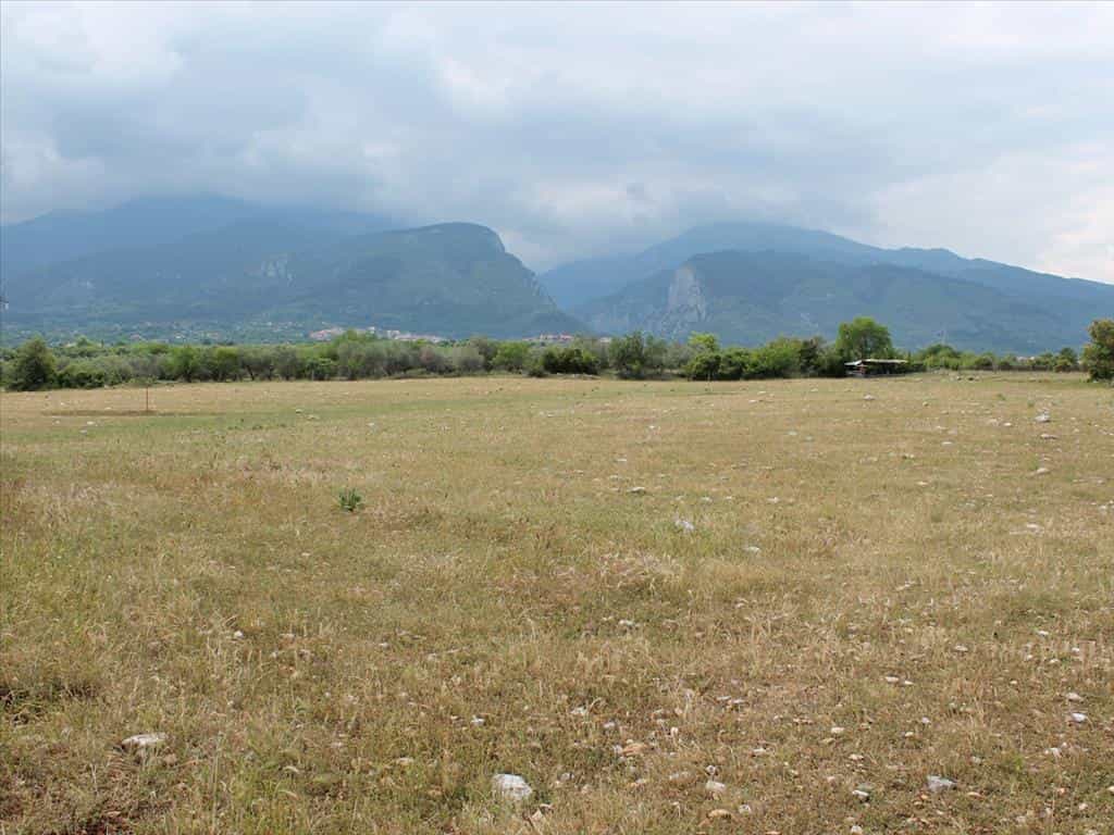 Tanah dalam Litochoro, Kentriki Makedonia 11512416