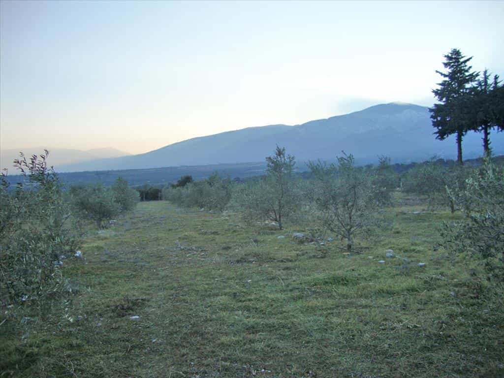 भूमि में Litochoro, Kentriki Makedonia 11512511