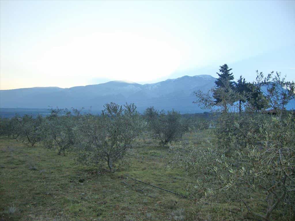 Land i Litochoro, Kentriki Makedonia 11512511