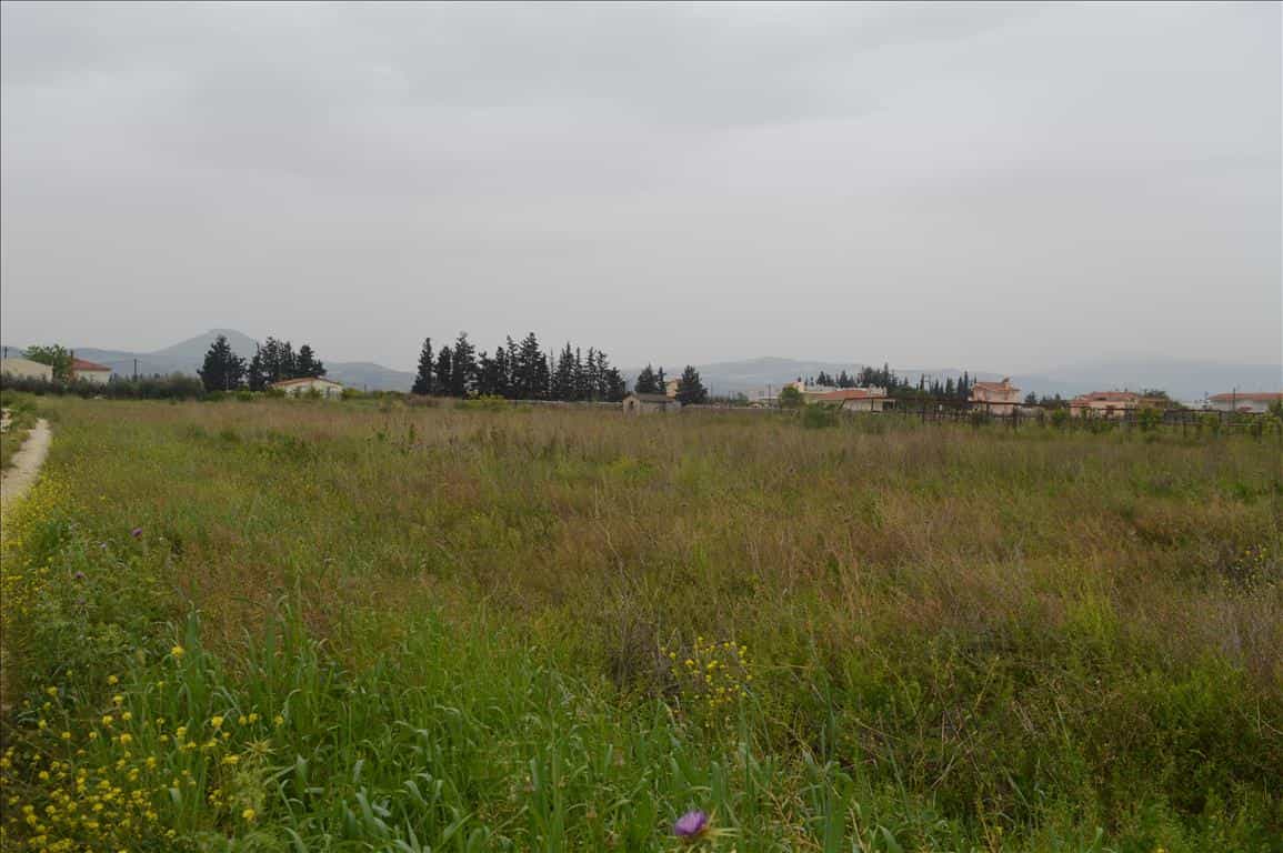 Tanah dalam Pitsiota, Sterea Ellada 11512745