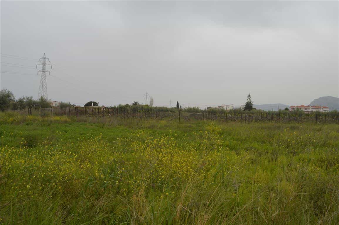 Land in Pitsiota, Sterea Ellada 11512745