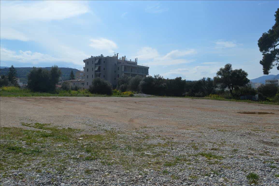 Land in Pitsiota, Sterea Ellada 11512764