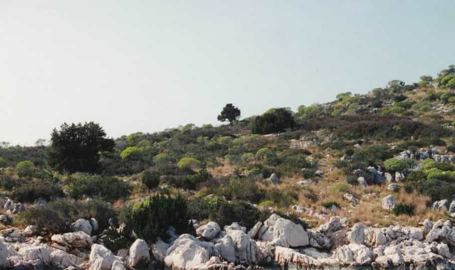 Terre dans Astakos, Dytiki Ellada 11512795
