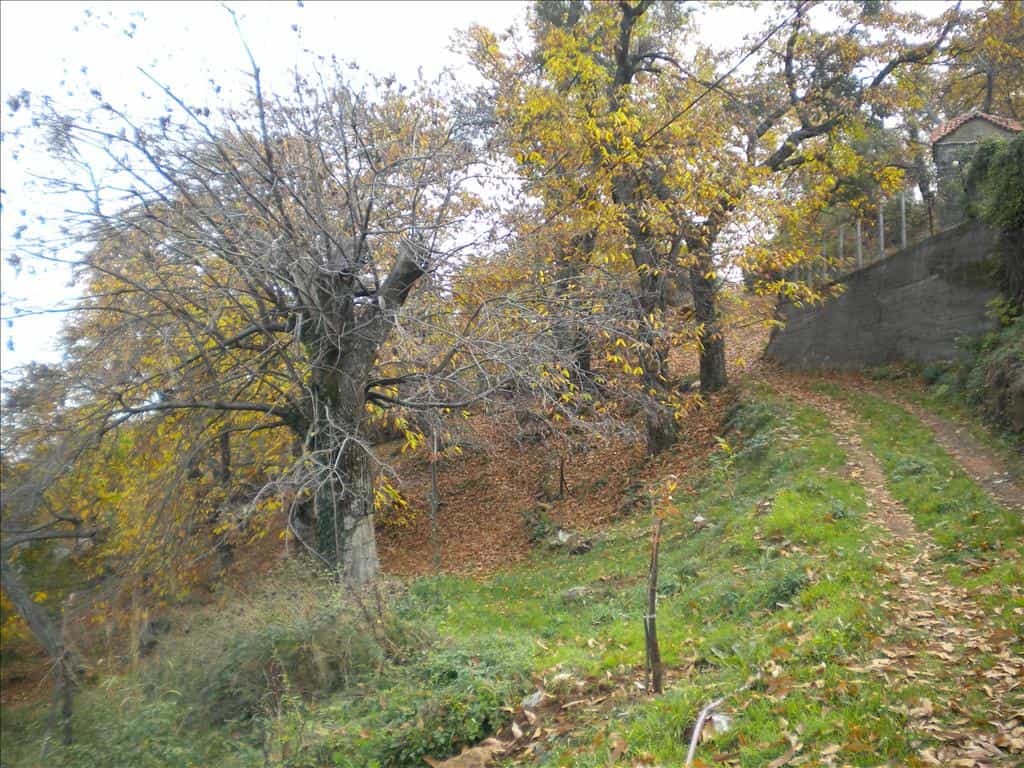 Tanah dalam Pitsiota, Sterea Ellada 11512855