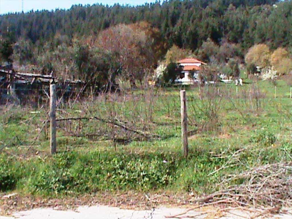 Land in Pitsiota, Sterea Ellada 11512911
