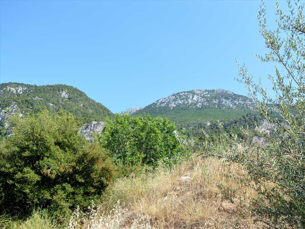 Tanah di Pisia, Peloponnisos 11512913