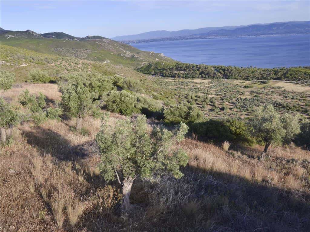 Tanah dalam Perachora, Peloponnisos 11512927