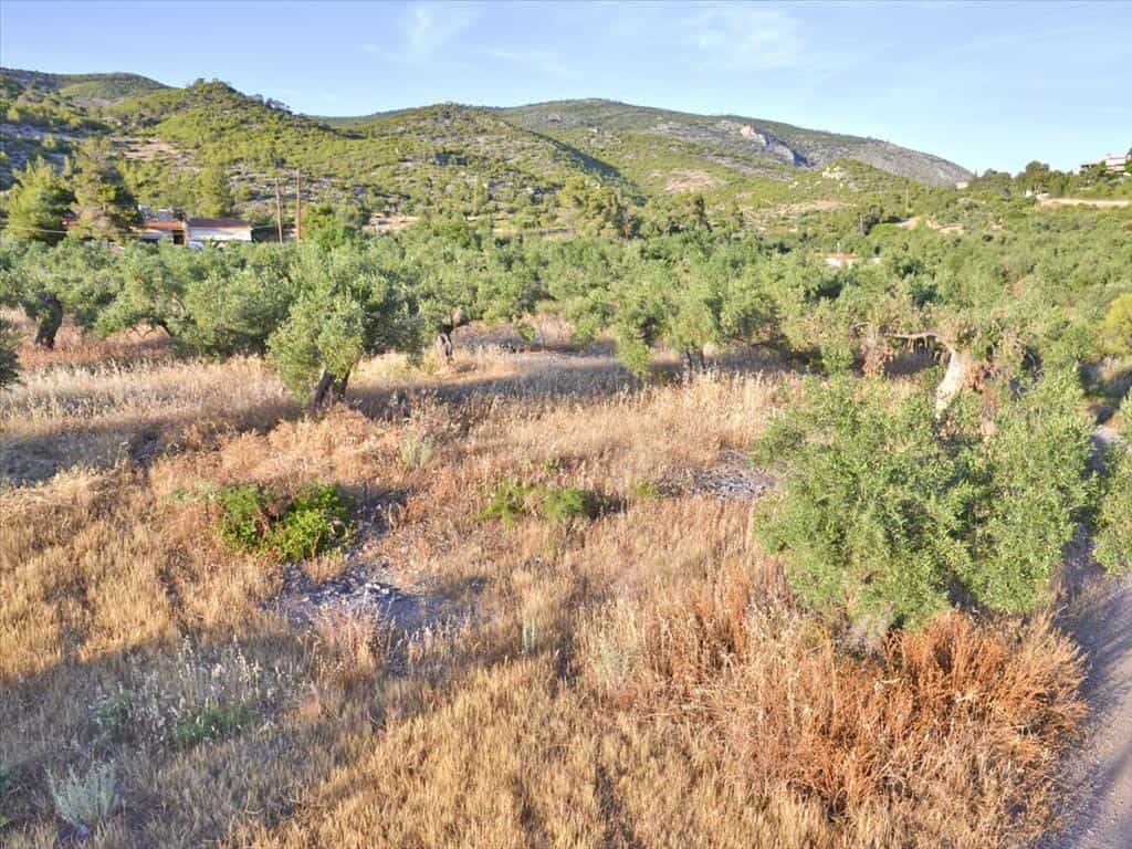 Tanah dalam Perachora, Peloponnisos 11512928