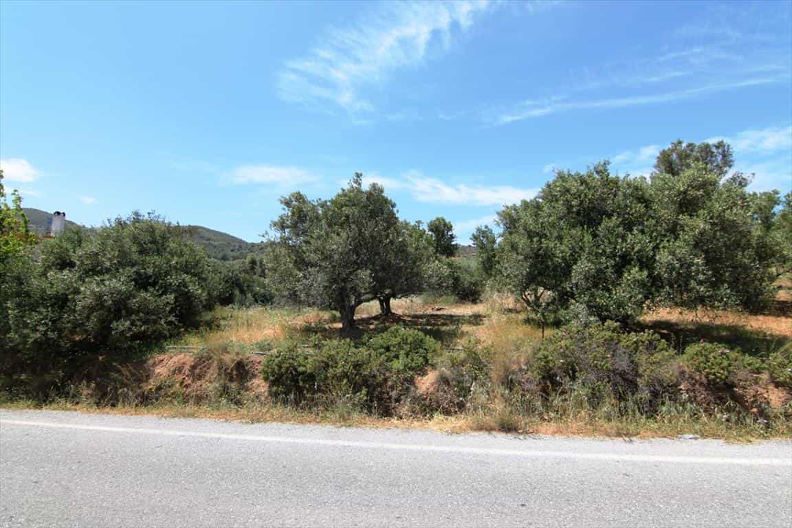 Land in Agia Pelagia, Kriti 11512951