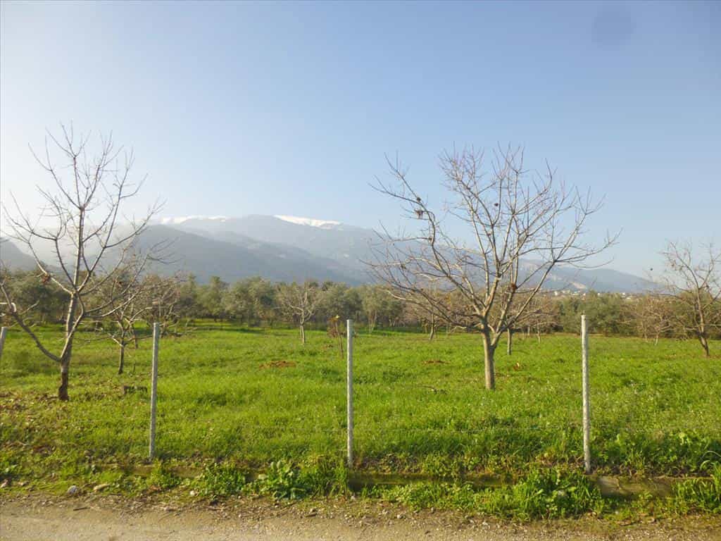 Tanah dalam Skala Skotinas, Kentriki Makedonia 11513085
