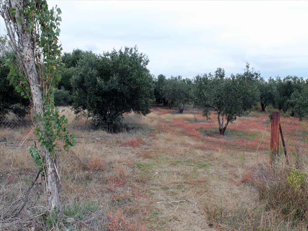 Land in Kalyves Polygyrou, Kentriki Makedonia 11513127