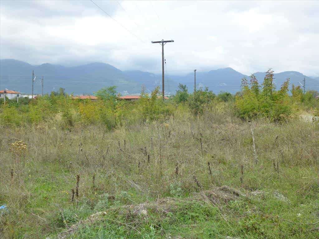 Tanah dalam Leptokarya, Kentriki Makedonia 11513149