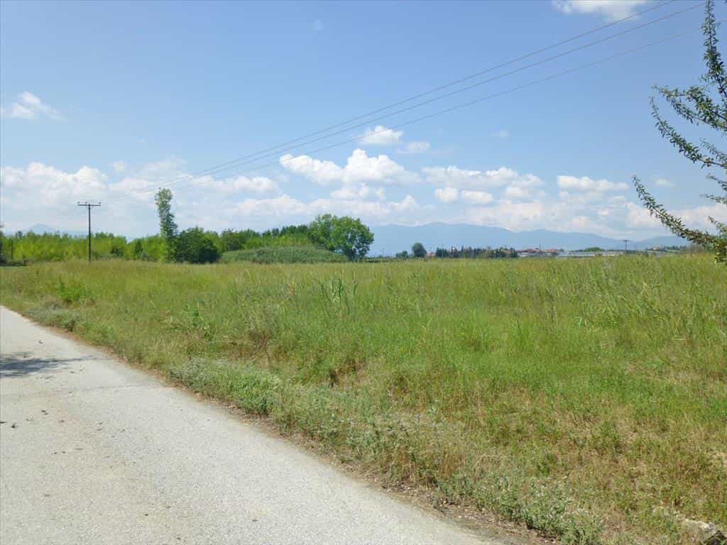 Land in Korinos, Kentriki Makedonia 11513172