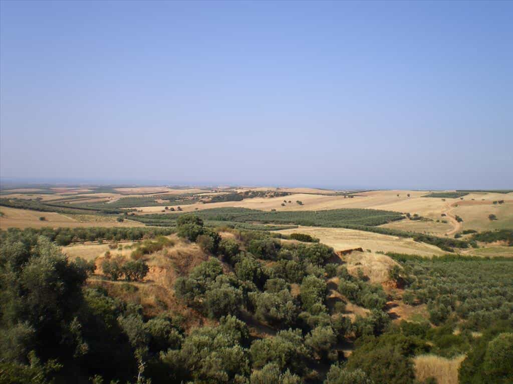 Tanah dalam Kalyves Polygyrou, Kentriki Makedonia 11513192