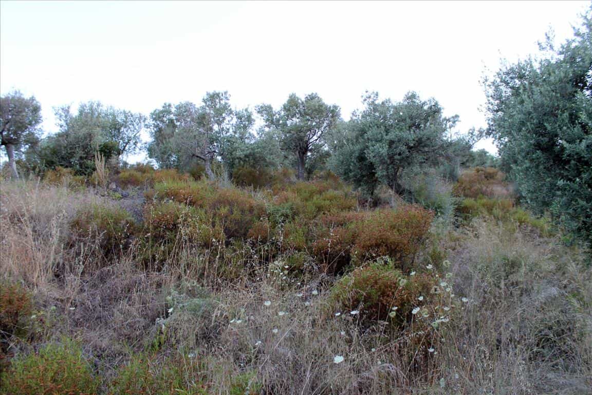 Terre dans Pyrgadikia, Kentriki Macédoine 11513214