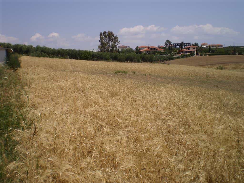 Tanah dalam Nea Moudania, Kentriki Makedonia 11513239