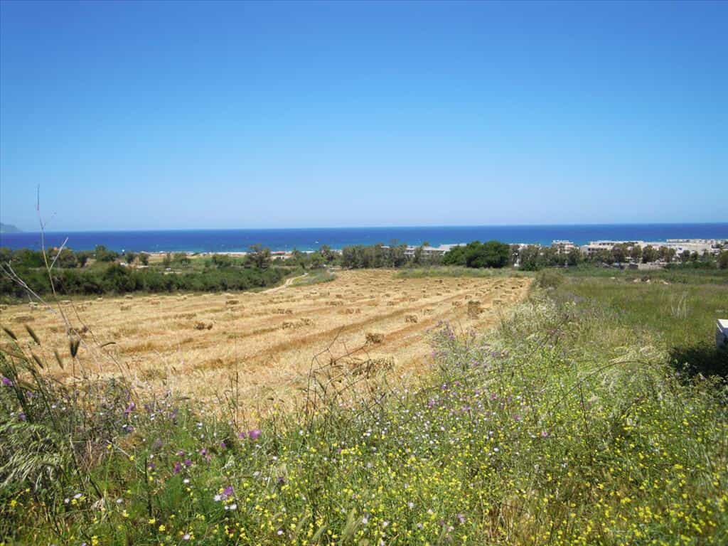 Land in Pitsiota, Sterea Ellada 11513294