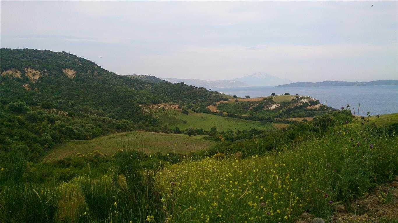 Land in Ierissos, Kentriki Makedonia 11513299