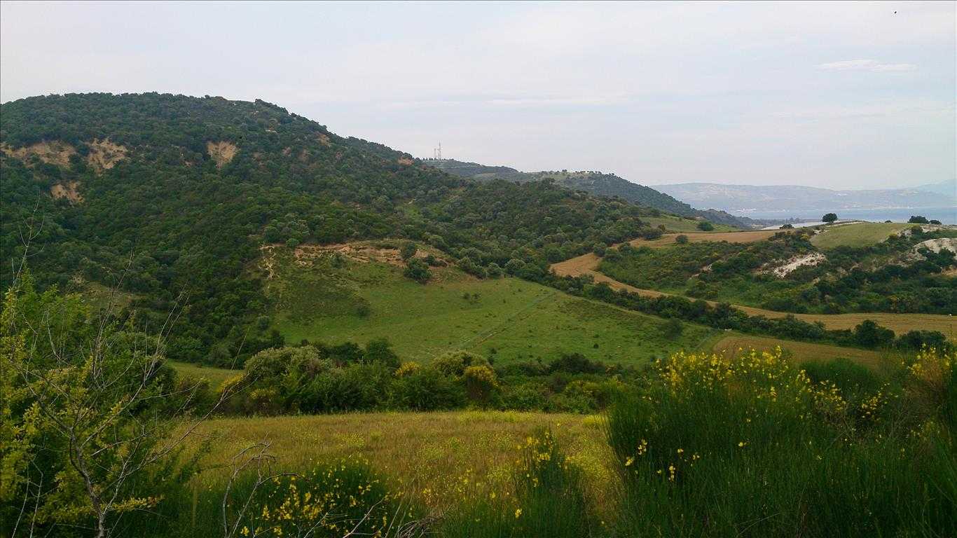 Tanah dalam Ierissos, Kentriki Makedonia 11513299