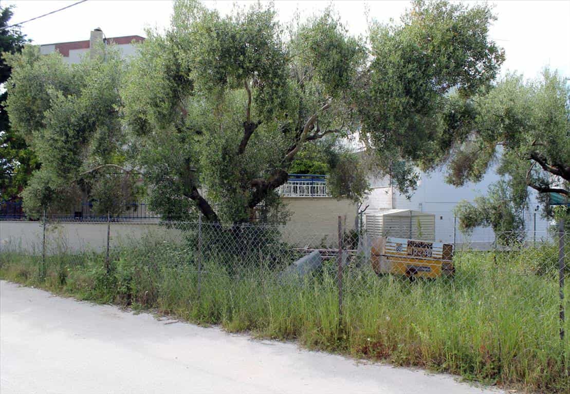 Tanah di Agios Kirikos, Voreio Aigaio 11513318