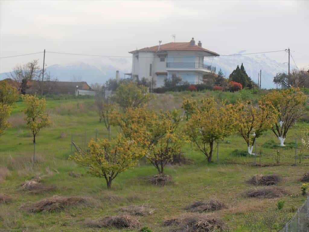 Tanah dalam Kallithea, Kentriki Makedonia 11513371