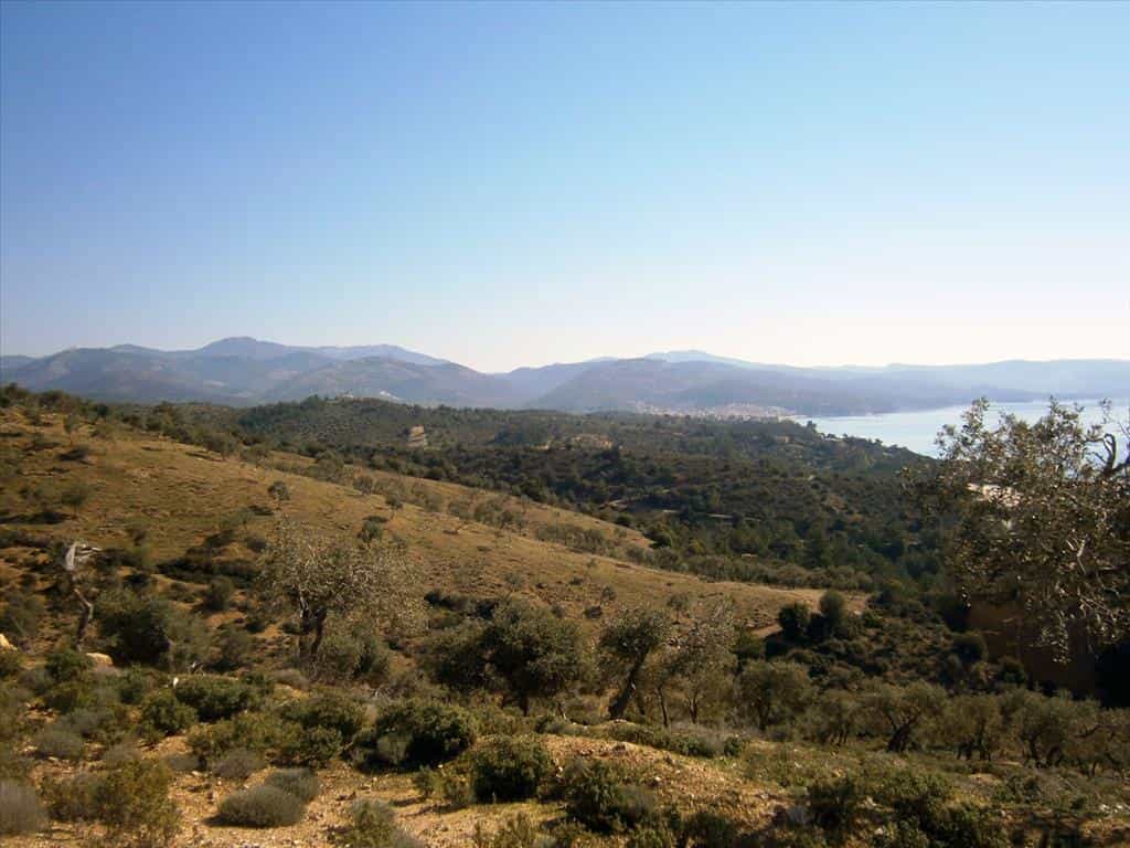 Tierra en Limenaria, Anatoliki Makedonia kai Thraki 11513380