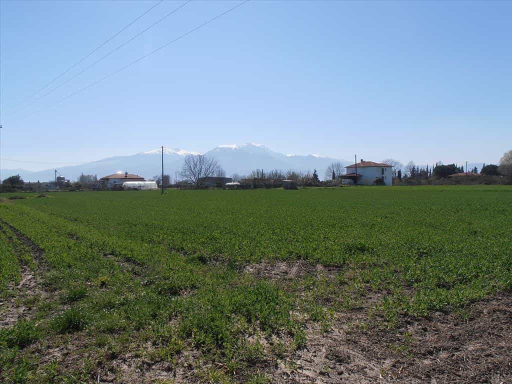 Tanah dalam Korinos, Kentriki Makedonia 11513382