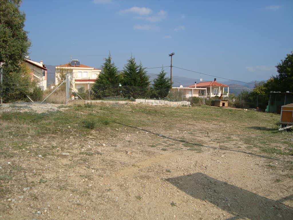 土地 在 神奥洛戈斯, 安纳托利基马其顿凯斯拉基 11513405