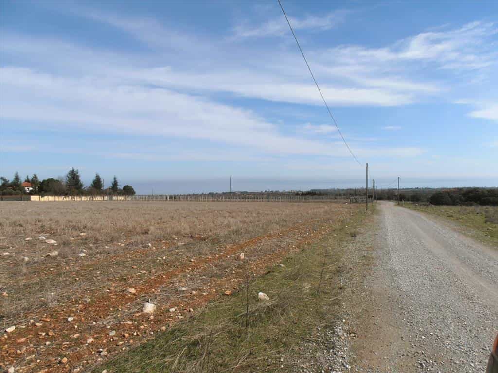 Tanah dalam Litochoro, Kentriki Makedonia 11513436