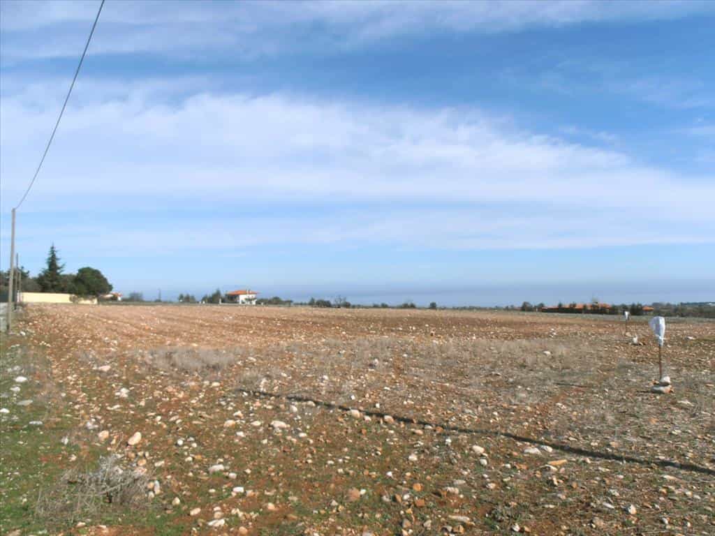 Tanah dalam Litochoro, Kentriki Makedonia 11513437